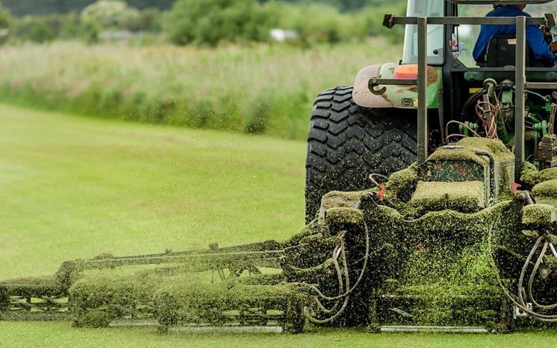 grass-cutting